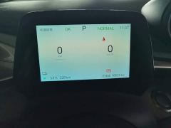 BYD Dolphin Glory Edition 420km Freedom Version - ფოტო 11