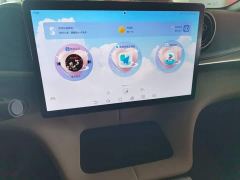 BYD Dolphin Glory Edition 420km Freedom Version - ფოტო 12