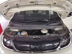BYD Dolphin Glory Edition 420km Freedom Version - ფოტო 19