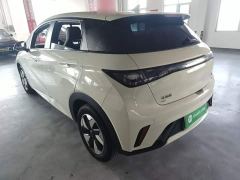 BYD Dolphin Glory Edition 420km Freedom Version - ფოტო 4
