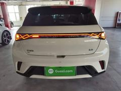 BYD Dolphin Glory Edition 420km Freedom Version - ფოტო 5