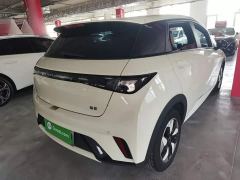 BYD Dolphin Glory Edition 420km Freedom Version - ფოტო 6