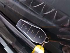 BYD Dolphin Glory Edition 420km Freedom Version - ფოტო 8