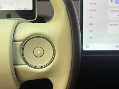 Nio firefly Edition 42.1kWh - ფოტო 9
