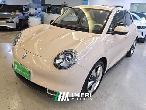2024 ORA Good Cat 401km Standard Range Deluxe Edition LFP Battery - ავტომობილი ჩინეთიდან