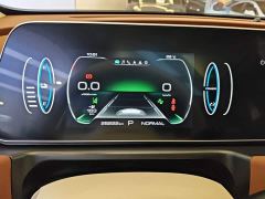 ORA Good Cat 401km Standard Range Deluxe Edition LFP Battery - фото 11