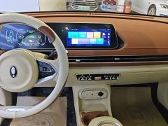 ORA Good Cat 401km Standard Range Deluxe Edition LFP Battery - фото 12