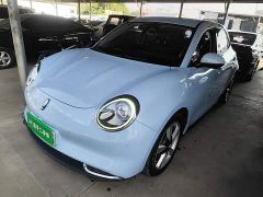 ORA Good Cat 400km Standard Range Athena Edition LFP Battery - фото 1
