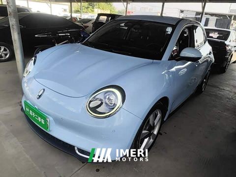 2021 ORA Good Cat 400km Standard Range Athena Edition LFP Battery - ავტომობილი ჩინეთიდან