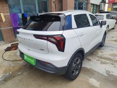 Geely Geometry E Firefly 320KM Cute Tiger 5-Seater - фото 6