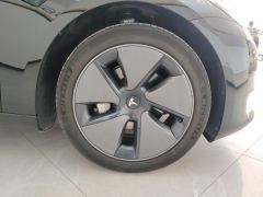 Tesla Model 3 556km Rear-Wheel Drive Edition - photo 6