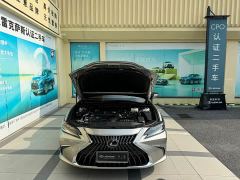Lexus ES 300h Premium Edition - ფოტო 8
