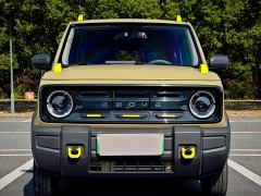 Geely Panda 200km Panda Knight - ფოტო 3