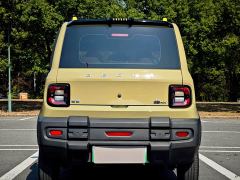 Geely Panda 200km Panda Knight - ფოტო 7