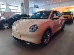 ORA Good Cat 401km Standard Range Luxury LFP - ფოტო 1