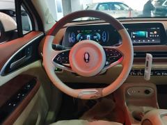 ORA Good Cat 401km Standard Range Luxury LFP - ფოტო 10