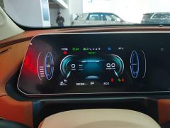 ORA Good Cat 401km Standard Range Luxury LFP - ფოტო 11