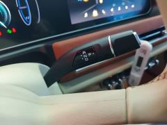 ORA Good Cat 401km Standard Range Luxury LFP - ფოტო 13