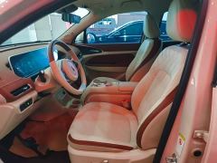 ORA Good Cat 401km Standard Range Luxury LFP - ფოტო 14