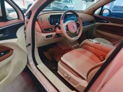 ORA Good Cat 401km Standard Range Luxury LFP - ფოტო 15