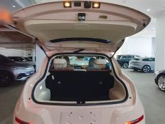 ORA Good Cat 401km Standard Range Luxury LFP - ფოტო 18