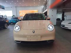 ORA Good Cat 401km Standard Range Luxury LFP - ფოტო 2