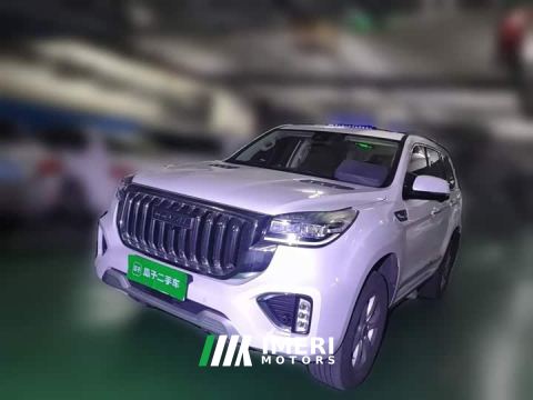 2022 Haval H9 2.0T Gasoline AWD Luxury 7-Seater - автомобиль из Китая