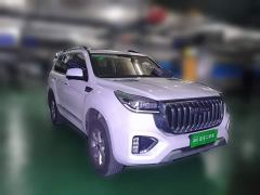 Haval H9 2.0T Gasoline AWD Luxury 7-Seater - фото 3