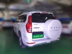 Haval H9 2.0T Gasoline AWD Luxury 7-Seater - фото 4