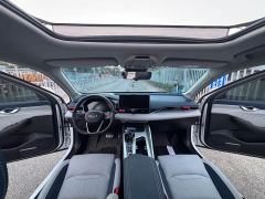 Geely Xingrui 2.0T Diesel Elite - ფოტო 9