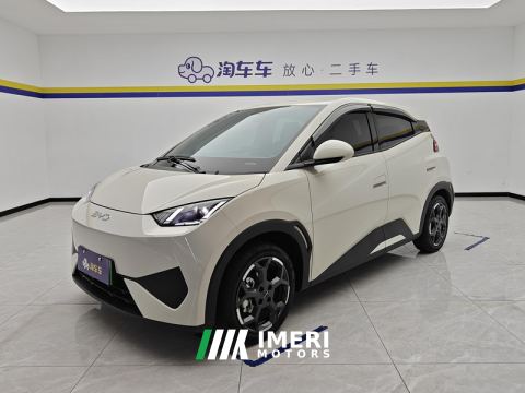 2025 BYD Seagull Smart Drive Edition 405km Edition - ავტომობილი ჩინეთიდან