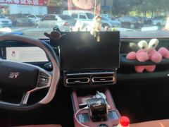 Jetour Mountain Sea T1 1.5T 150km Edition - ფოტო 17