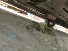 Changan UNI-Z 1.5T Premium Edition - photo 10