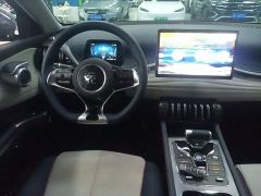BYD Yuan Plus 510KM Flagship - photo 10