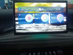 BYD Yuan Plus 510KM Flagship - photo 12
