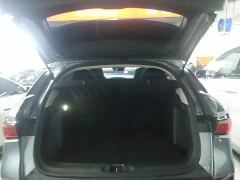 BYD Yuan Plus 510KM Flagship - photo 18