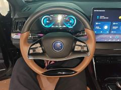 BYD Tang New Energy DM-i 112KM Premium Edition - ფოტო 10