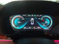 BYD Tang New Energy DM-i 112KM Premium Edition - ფოტო 11
