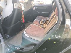 BYD Destroyer 05 DM-i Honor Edition 1.5L 55km Luxury Edition - photo 13