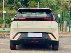 BYD Seagull Glory Edition 405km Flying Edition - ფოტო 11