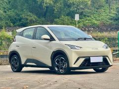 BYD Seagull Glory Edition 405km Flying Edition - ფოტო 3