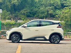 BYD Seagull Glory Edition 405km Flying Edition - ფოტო 4