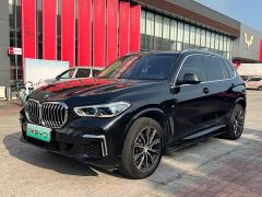 BMW X5 xDrive 30Li Luxury M Sport Package - photo 1