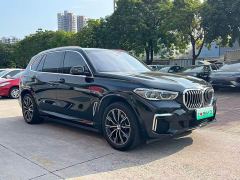 BMW X5 xDrive 30Li Luxury M Sport Package - photo 3