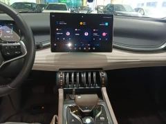 BYD Yuan Plus Glory Edition 430KM Transcend - ფოტო 12