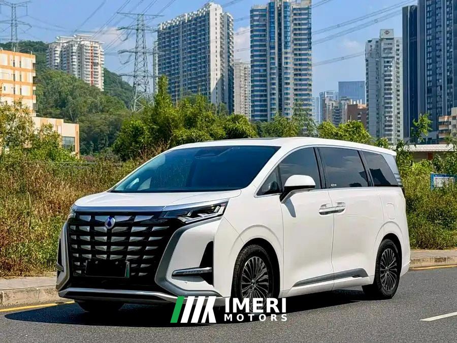 Denza D9 DM-i 1.5T 103km Luxury Version 7 - car from China