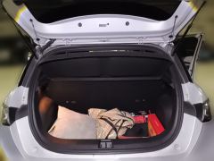 BYD Dolphin 405km Stylish Edition - ფოტო 20