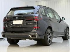 BMW X5 xDrive30Li Luxury Edition M Sport Dark Night Package - фото 12