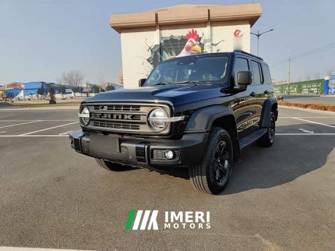 2022 Tank 300 Off-Road Edition 2.0T Conqueror - car from China