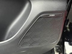GAC Aion E9 Champion Edition - ფოტო 13